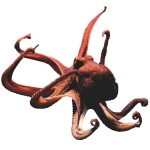 �71 �������� 1.4 � 1.3 �